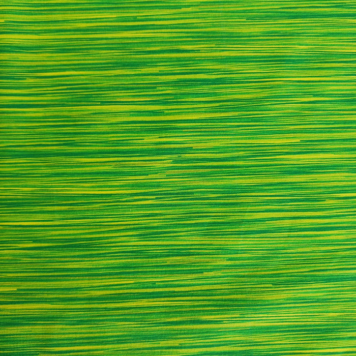 Baumwolljersey Hilco "Colorfabric" grün