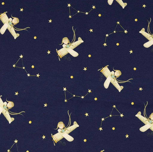 fleugzeug-sterne-baumwolljersey-marine-stoff-stoffpilz