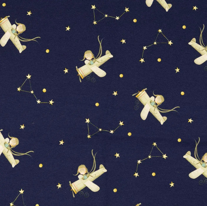 fleugzeug-sterne-baumwolljersey-marine-stoff-stoffpilz