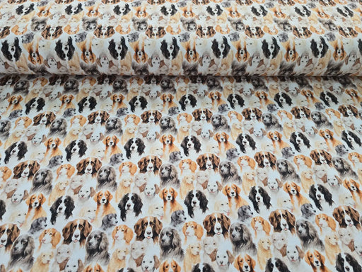 hunde-weiss-baumwolljersey-stoff-stoffpilz