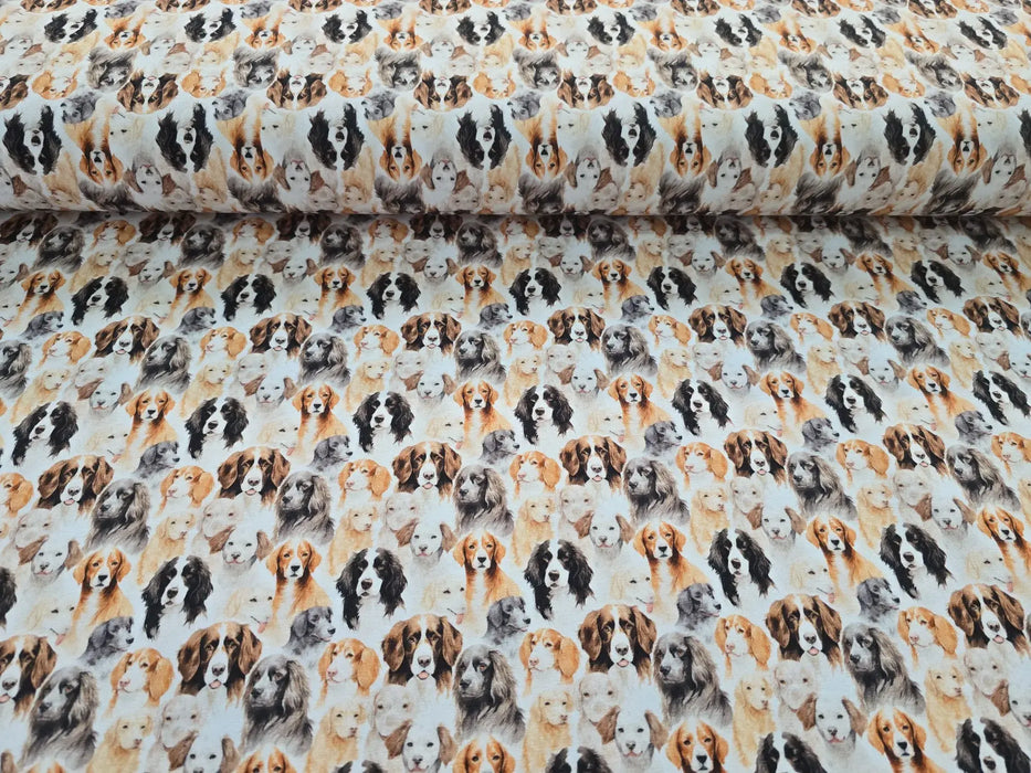 hunde-weiss-baumwolljersey-stoff-stoffpilz
