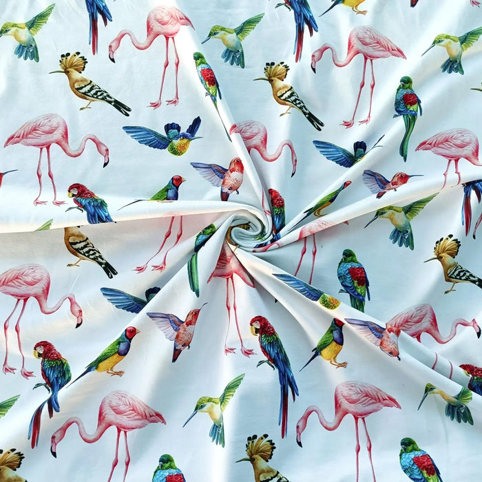 voegel-tropische-weiss-baumwolljersey--stoff-stoffpilz