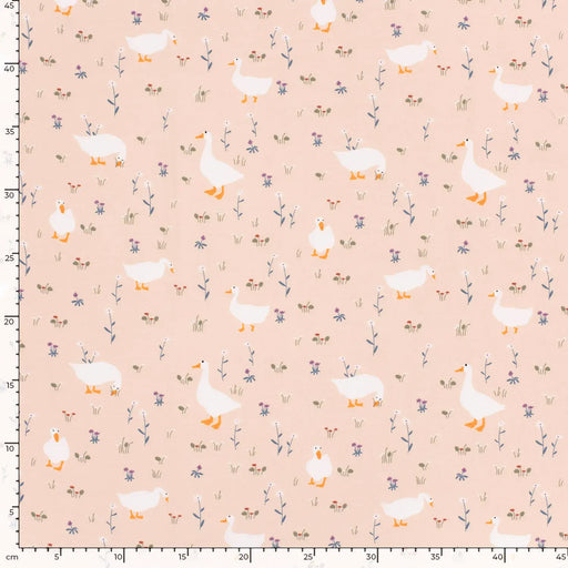 enten-pfirsich-bedruckt-trikot-stoff-stoffpilz