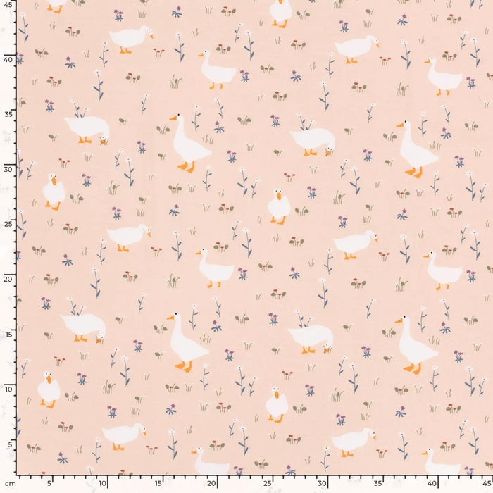 enten-pfirsich-bedruckt-trikot-stoff-stoffpilz