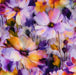 lila-blumen-popeline-stoff-stoffpilz