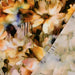 blumen-abstrakt-orange-viskose-stoff-stoffpilz