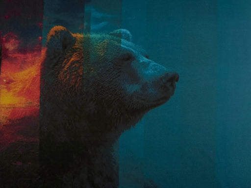 hilco-baer-stoff-stoffgeschaeft-stoffpilz-stoffe-blau-rot-flamme-feuer-realistisch-kinderstoff