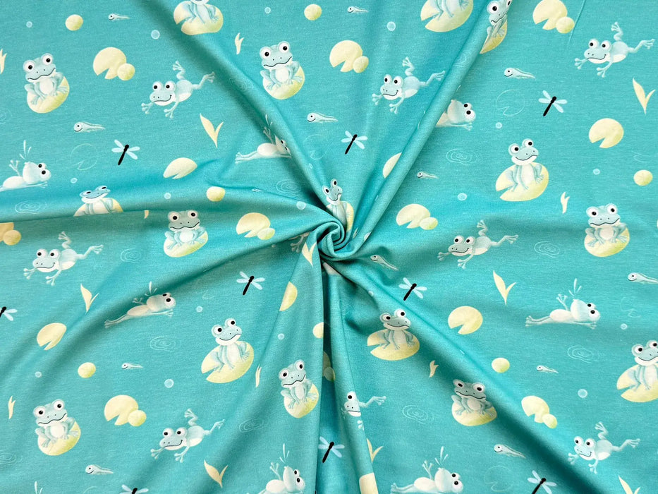 froesche-fliege-tiere-tier-frosch-tuerkis-suess-stoff-stoffpilz