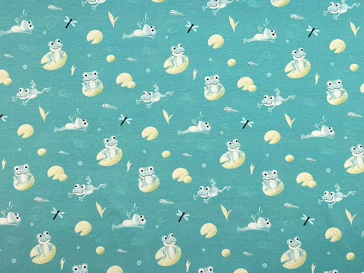 froesche-fliege-tiere-tier-frosch-tuerkis-stoff-stoffpilz-suess