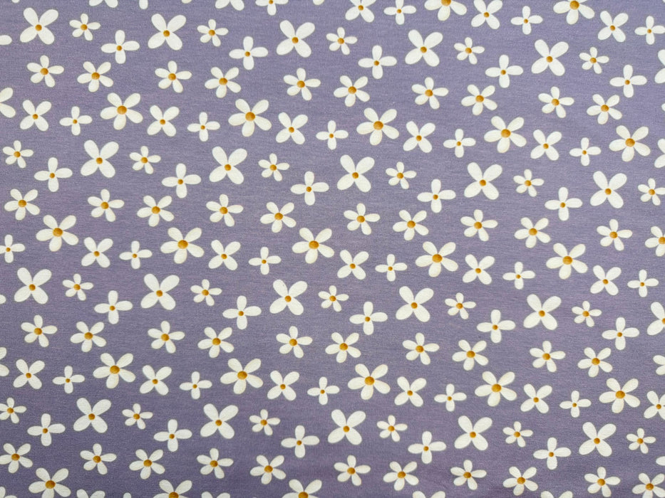 blumen-violett-hilco- violetterstof-stoff-stoffpilz-blume